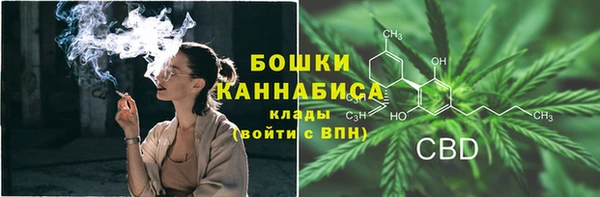 ECSTASY Заволжье