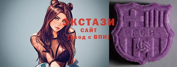 гидра Заводоуковск