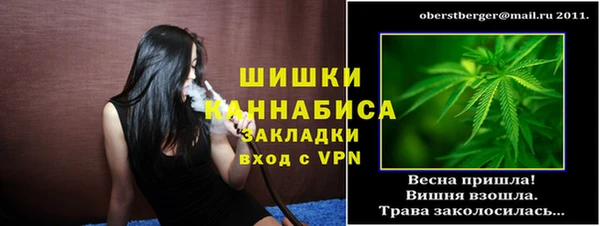 гидра Заводоуковск