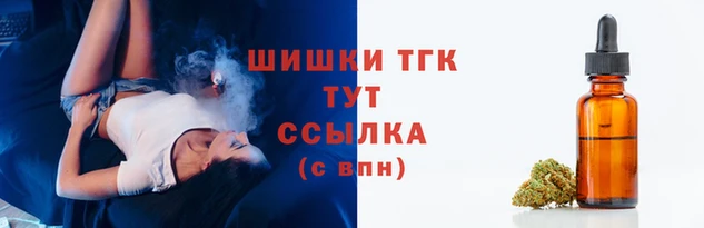 гидра Заводоуковск