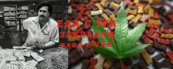 гидра Заводоуковск