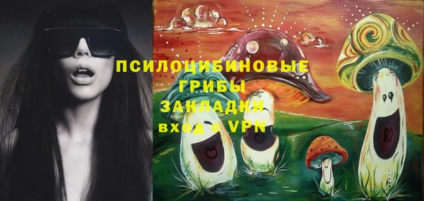 ECSTASY Заволжье