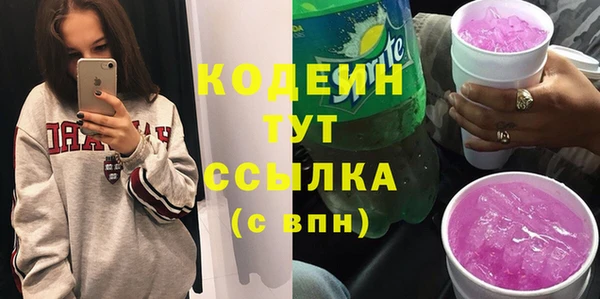 гидра Заводоуковск